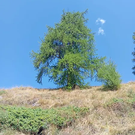 شقة Casa Marta Sando سان دومينيكو