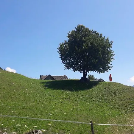 Casa Marta Sando * سان دومينيكو