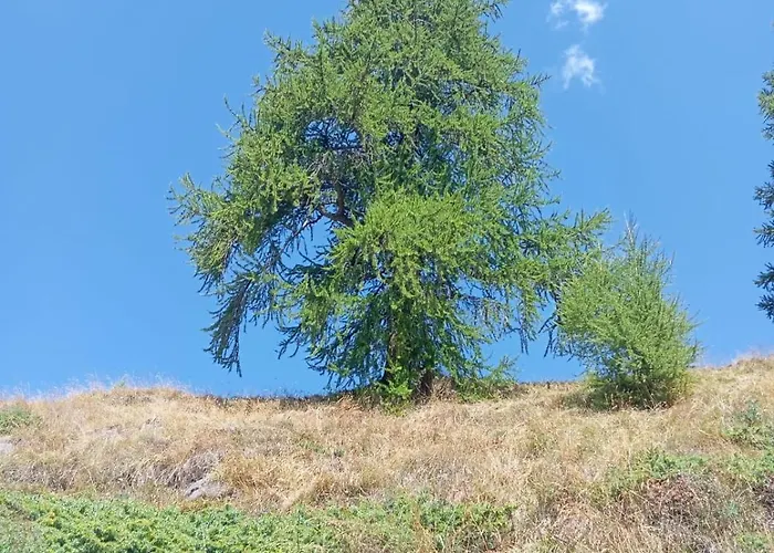 Lägenhet Casa Marta Sando San Domenico