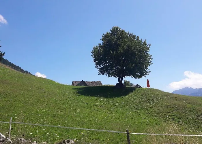 Casa Marta Sando * San Domenico